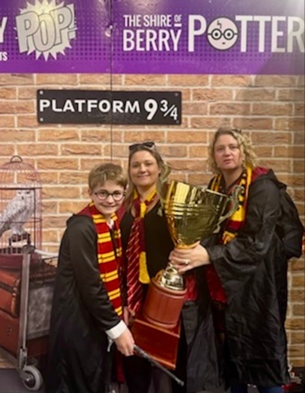 Shire of Berry Potter festival photo