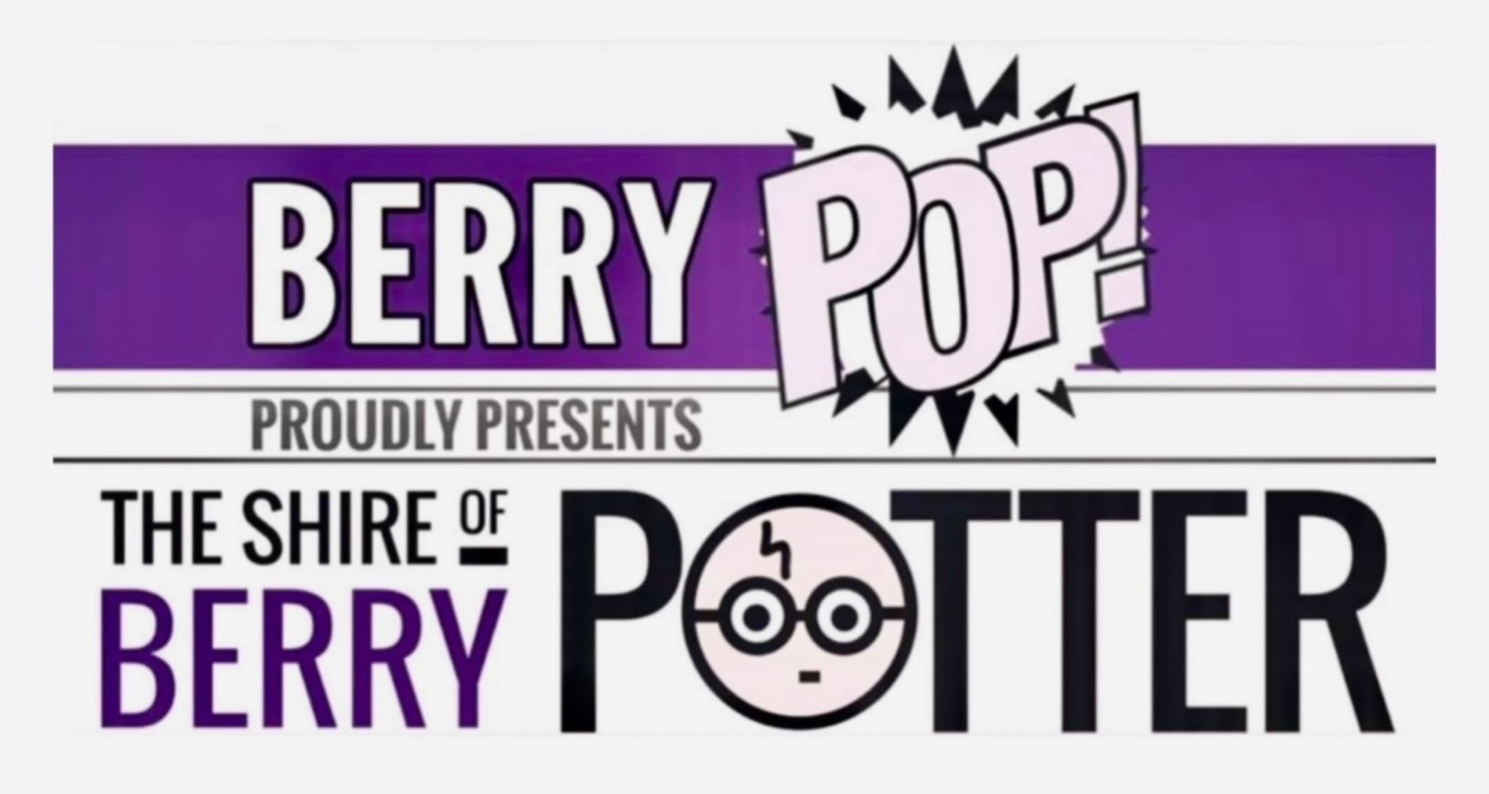 Shire of Berry Potter festival photo