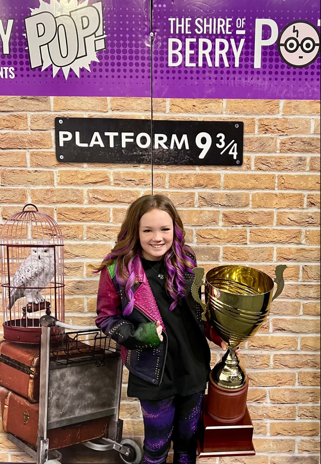 Shire of Berry Potter festival photo