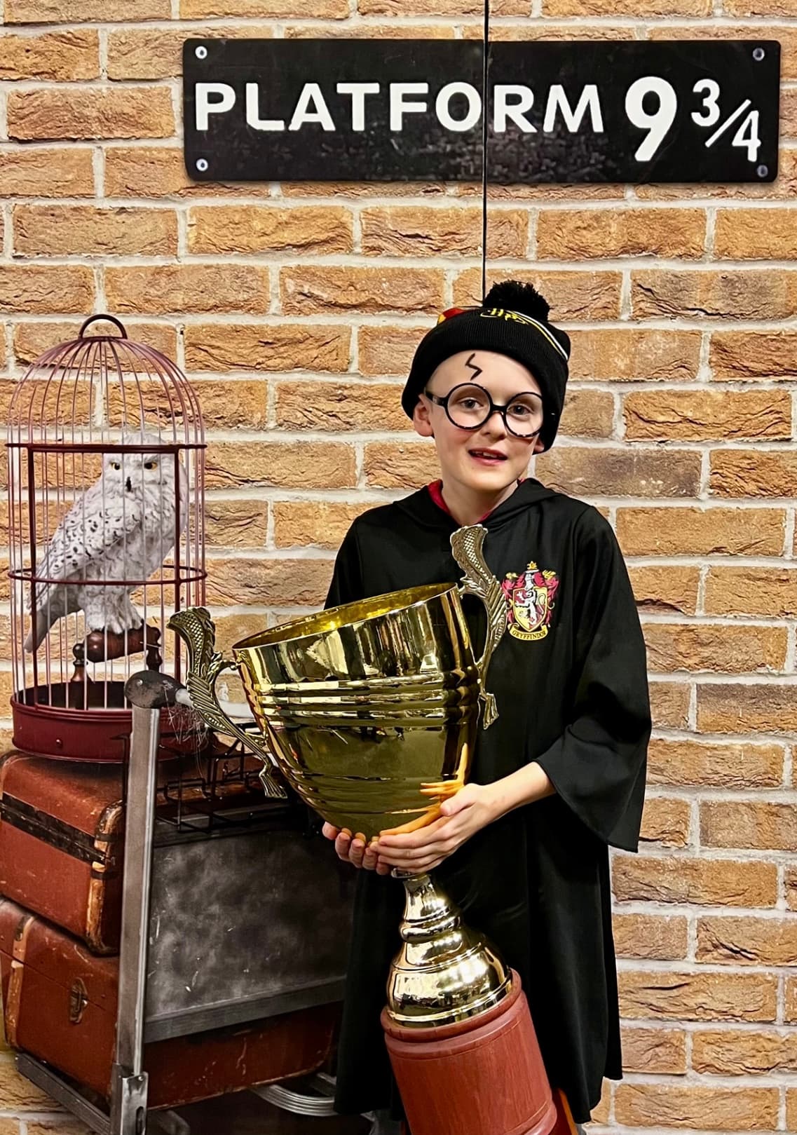 Shire of Berry Potter festival photo